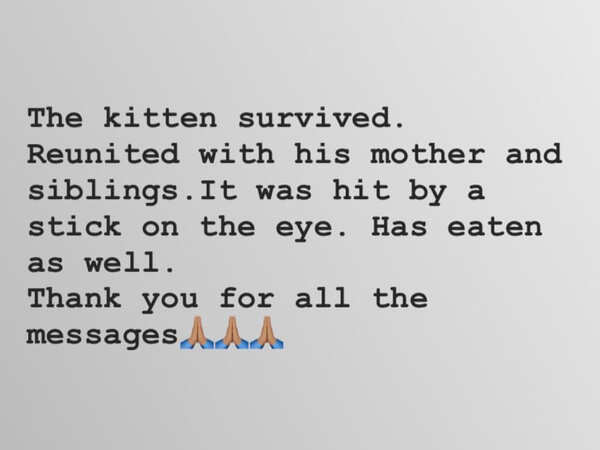 FotoJet (68)