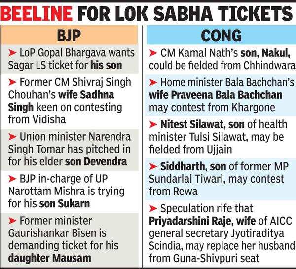 BJP-Cong parivaarwad may claim 20% LS tickets in MP
