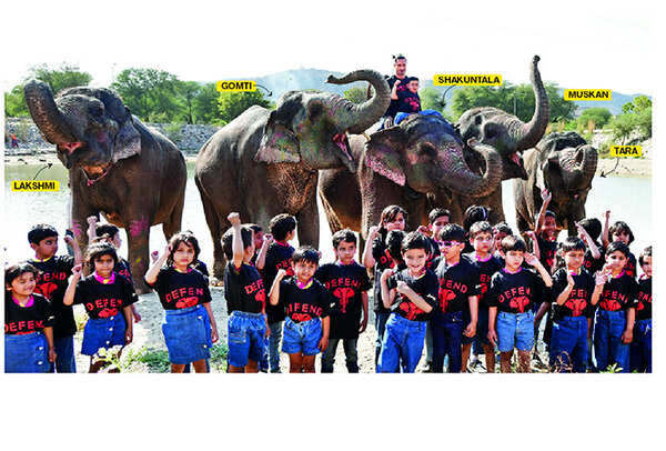 ELEPHANT