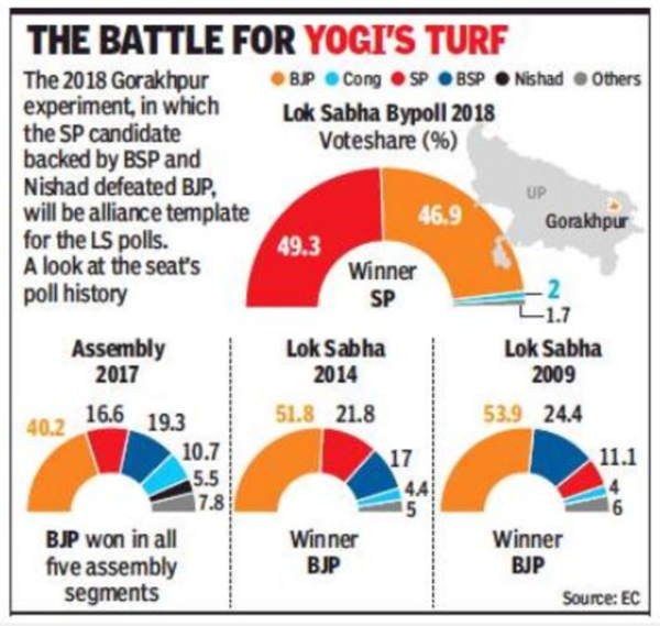 yogi turf