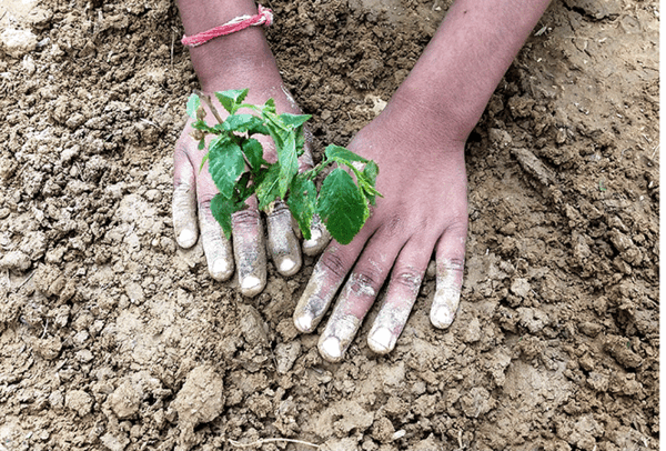 AROH-Foundation-celebrates-World-Earth-Day-(3)