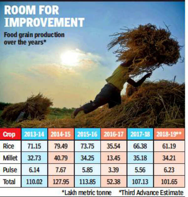 Tamil Nadu food grain production surpasses 100 lakh tonne last year