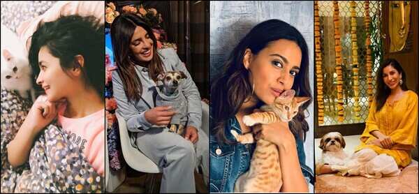 celeb pet moms