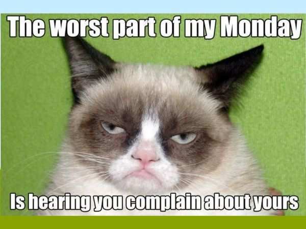 After Grumpy Cat, what memes deserve the Hollywood treatment?, Open thread