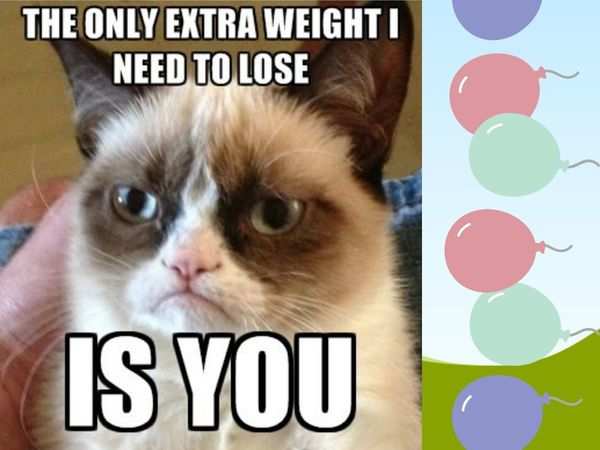 Grumpy cat? It gets that from you