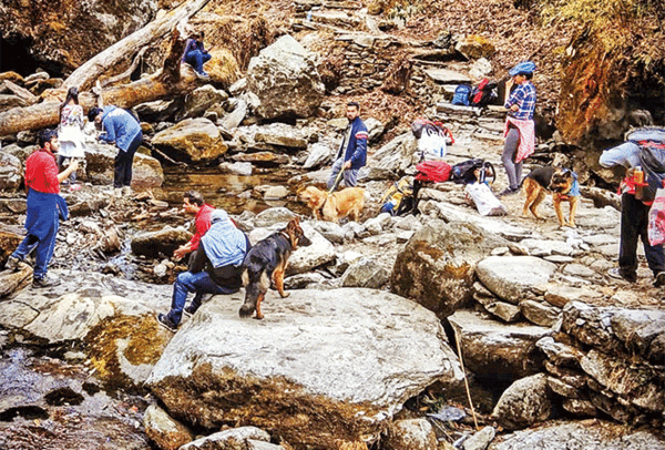 P1-Pet-vacation-tails-n-trails-(2)