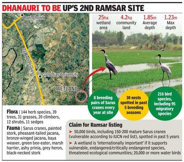 Centre offers green bounty for Greater Noida wetland | Noida News - Times  of India