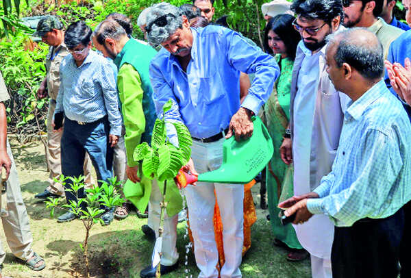 Kapil Dev waters plants at the event