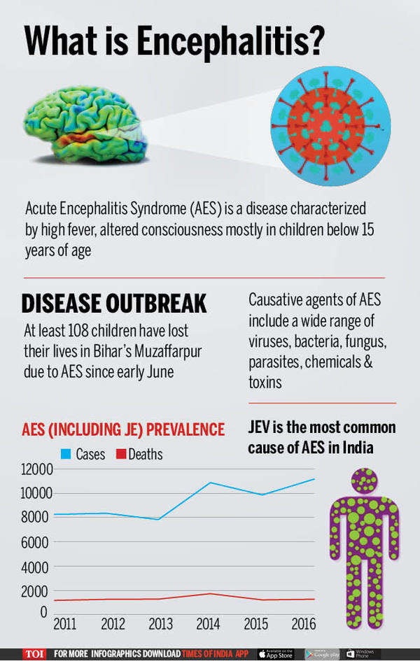 Infographic: Encephalitis: All you want to know | India News - Times of ...