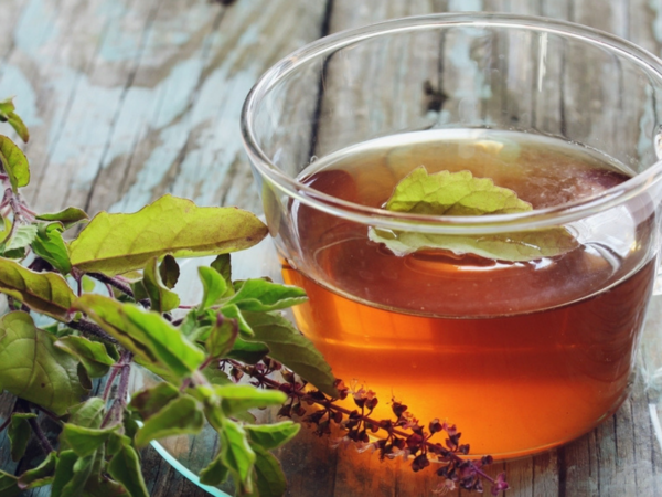 How to add Tulsi in your daily diet to stay healthy Times of India