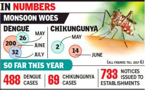 Cases Of Dengue, Chikungunya Begin To Stack Up In Pune | Pune News ...