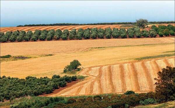 Israel2