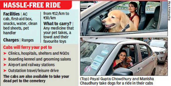 Kolkata: Pet cabs offer easy trips for man's best friend | Kolkata News -  Times of India
