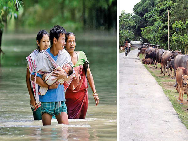 Assam Braces For Worse As Bhutan Releases Dam Water Guwahati News Times Of India 7867