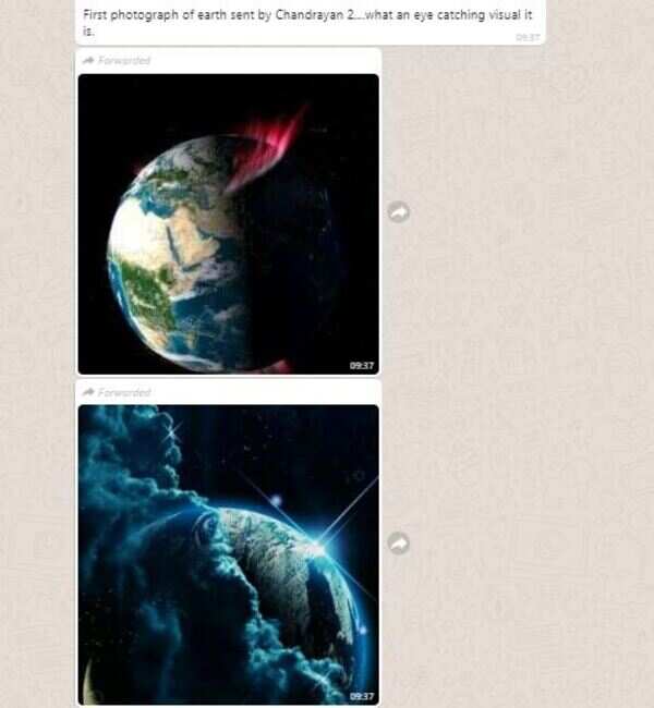 fake.