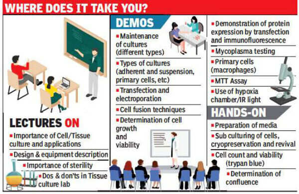 Demand hikes the number of short courses on cell culture | Pune News - Times of India Demand hikes the number of short courses on cell culture | Pune News - Times of India