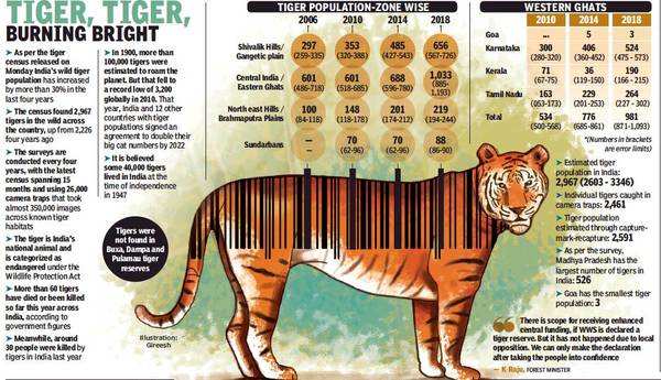 Tigers thrive in Kerala forests | Kochi News - Times of India