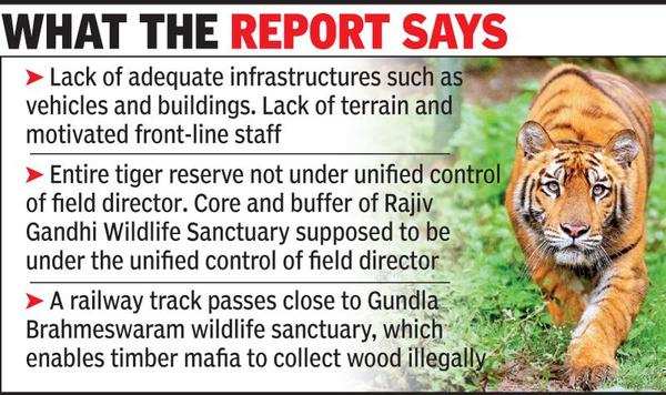 Gaping holes in Srisailam tiger reserve management: NTCA | Hyderabad ...