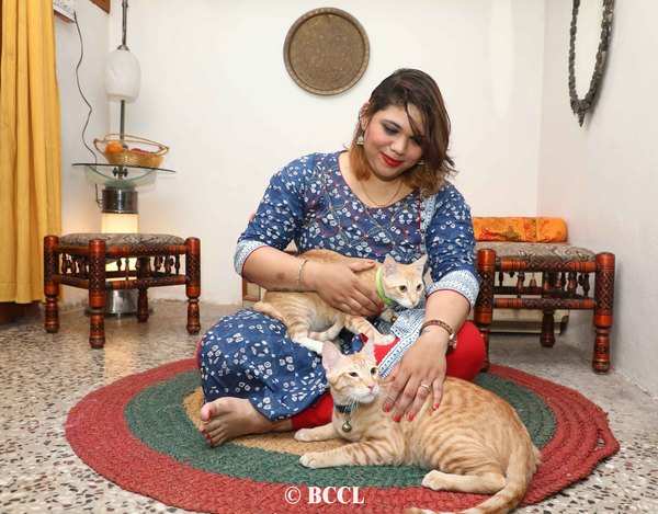 ‘Cats adjust better to the modern pace and lifestyle’ - Times of India