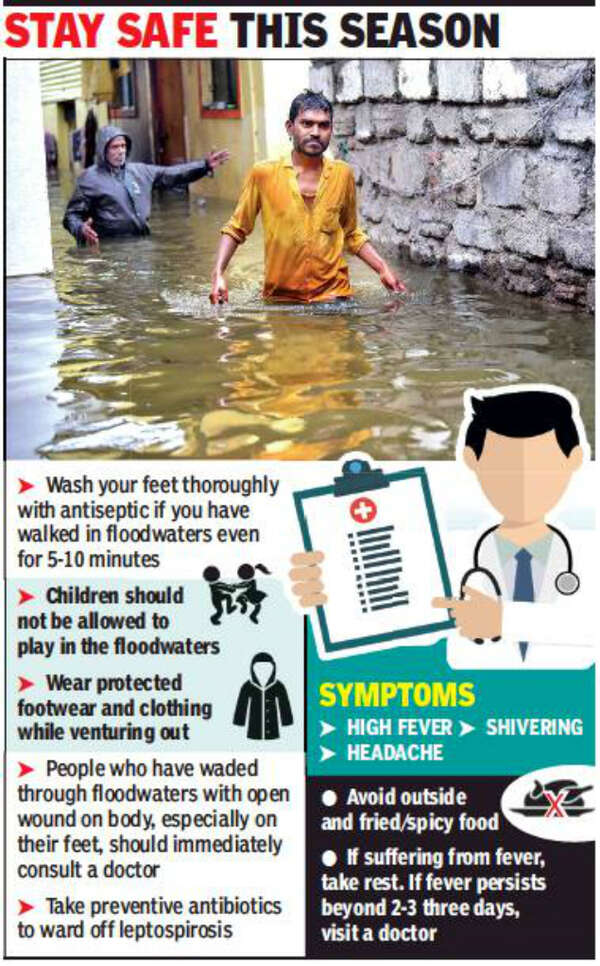 PMC provides free drug to check leptospirosis cases Pune News Times