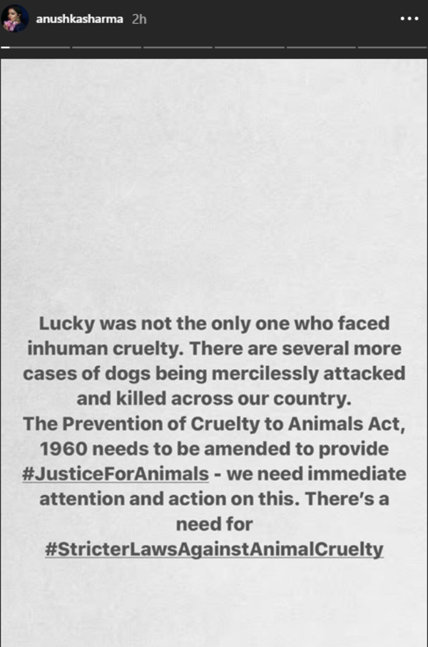 Anushka Sharma starts a campaign demanding stricter laws against animal  cruelty | Hindi Movie News - Times of India