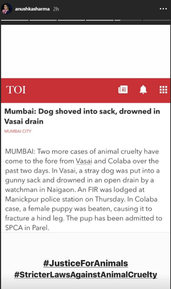 Anushka Sharma starts a campaign demanding stricter laws against animal cruelty | Hindi Movie News - Times of India Anushka Sharma starts a campaign demanding stricter laws against animal cruelty | Hindi Movie News - Times of India