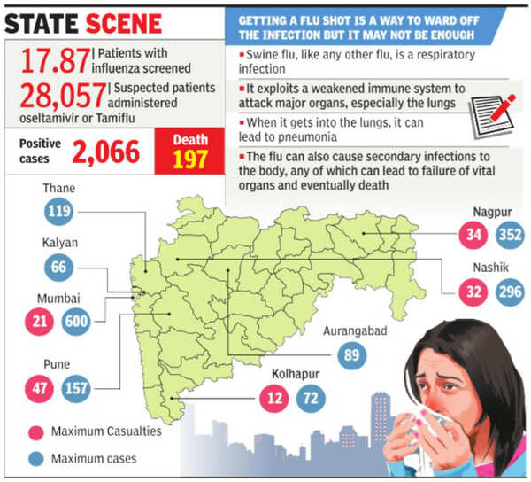 Maharashtra: Swine flu death toll rises, drop in mercury a worry | Pune ...