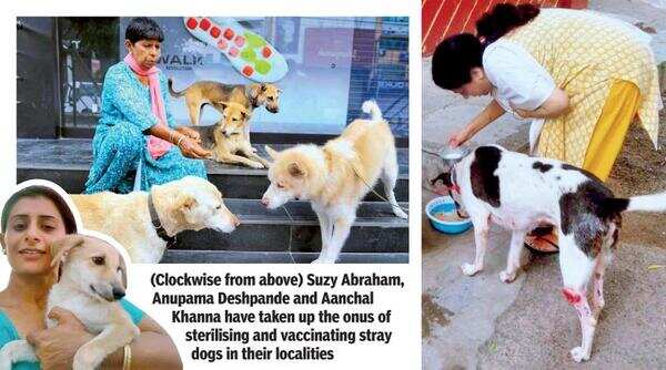 3 women reach out to weakest, save strays from doggone days