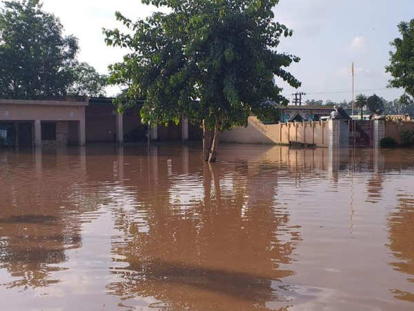 Barara Block In Haryana's Ambala District: Haryana: Floods Wreak Havoc 