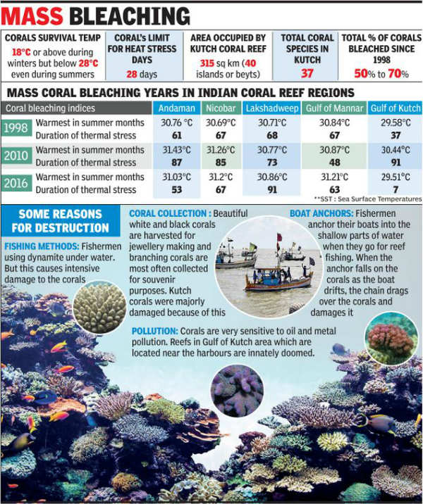 Kutch's Coral Reefs