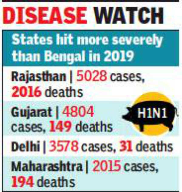 Swine flu peaks in West Bengal after 2012 | Kolkata News - Times of India