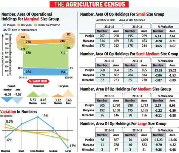 In India, Punjab registers second highest decline in marginal group