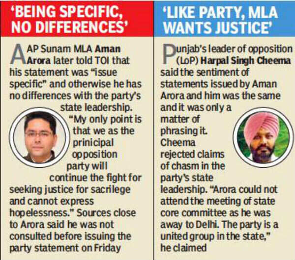 AAP leadership's sacrilege remark ridiculous: Aman Arora | Chandigarh ...