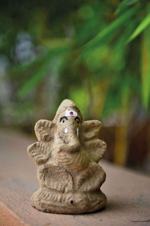 02ganesha2
