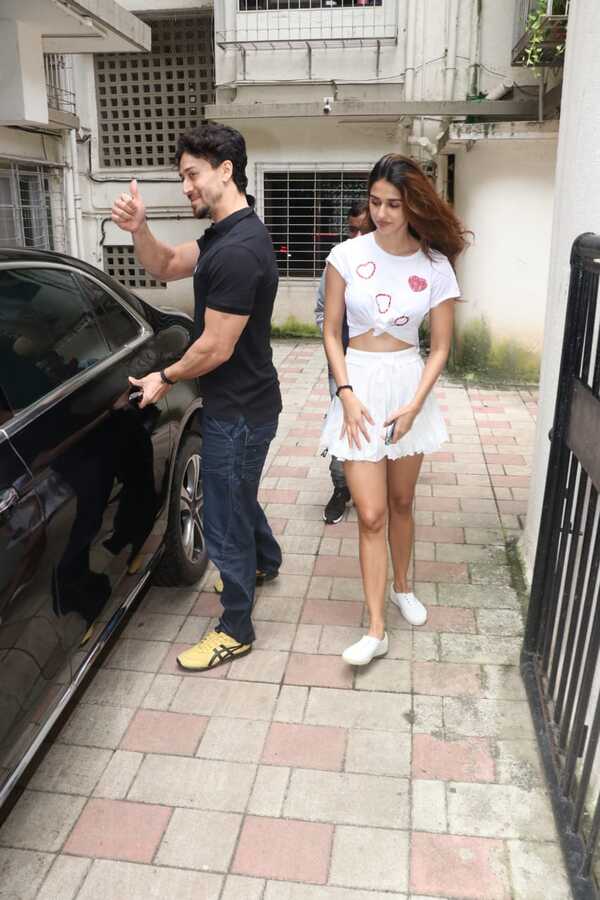 Tiger Disha (2)