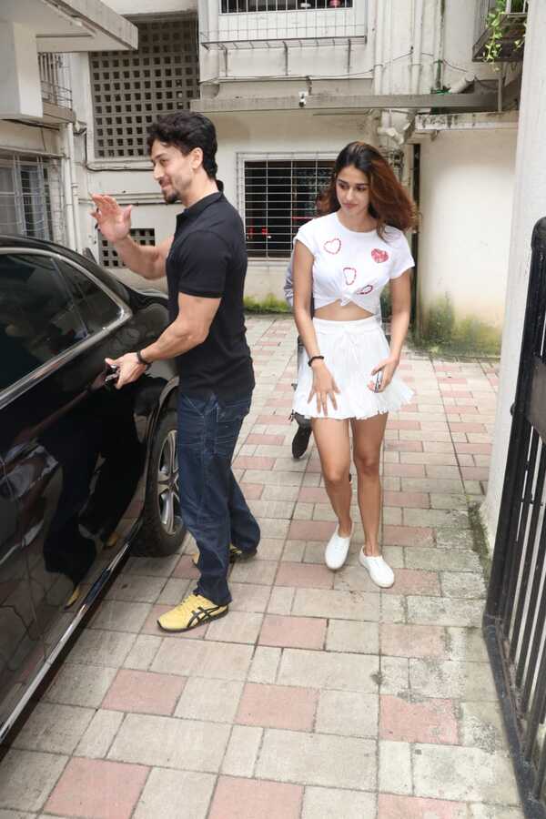 Tiger Disha (3)