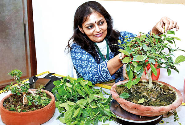 Vidhi Bhargava (BCCL/ Farhan Ahmad Siddiqui)