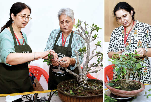 (L) Nimmi Mehrotra and Usha Singh (R) Priyanshi Dayanand (BCCL/ Farhan Ahmad Siddiqui)