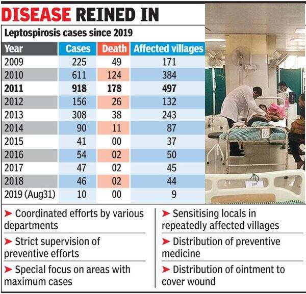 Ganpati calms leptospirosis, cases dip to lowest in decade Surat News