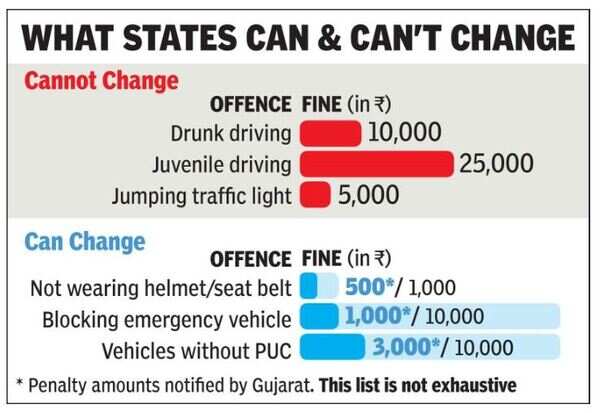 fine info