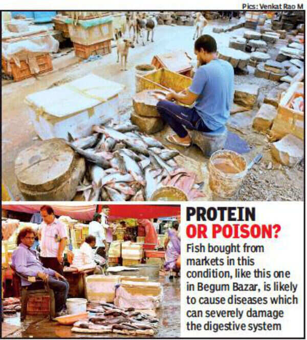 Begum Bazar fish market stinks to the gills, for GHMC it’s business as