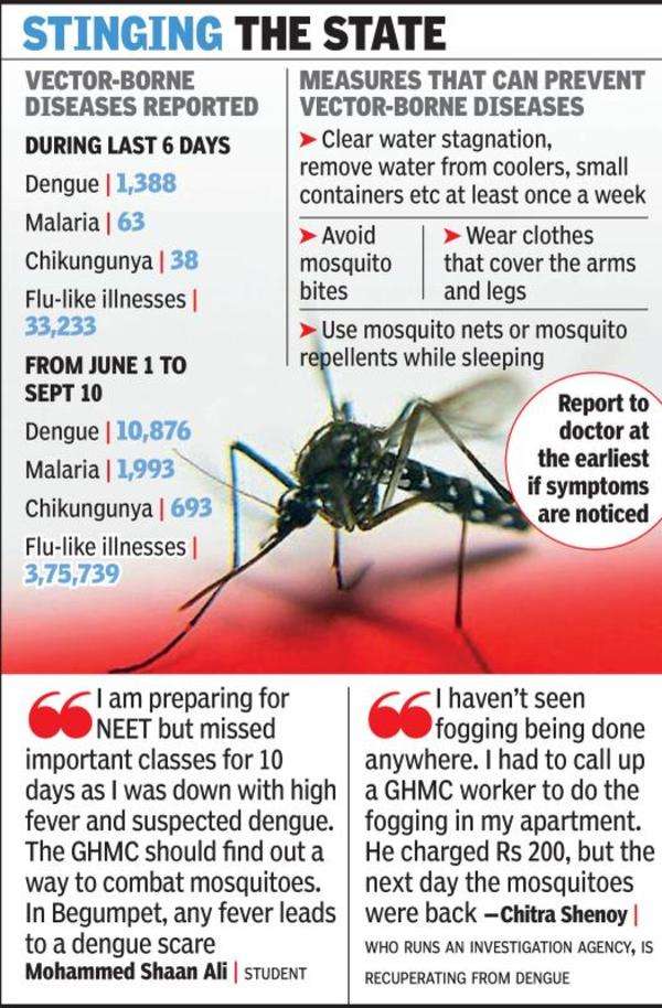 Crisis of vector-borne diseases in Telangana due to poor sanitation ...