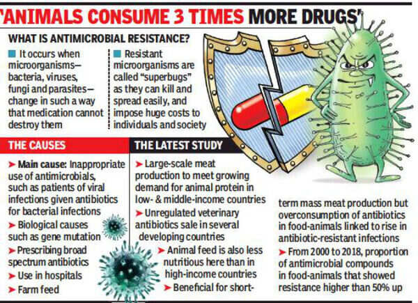 Antibiotic resistance in food-animals growing | Mumbai News - Times of India Antibiotic resistance in food-animals growing | Mumbai News - Times of India
