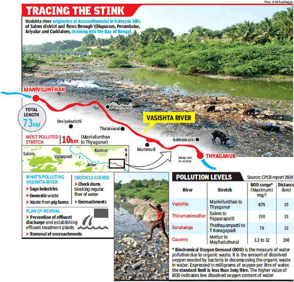 Dirty and dry Vasishta river pays for unregulated development | Chennai ...