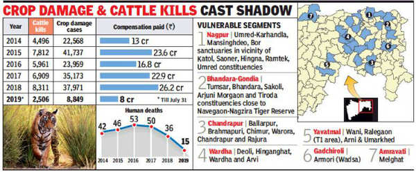 Man-animal conflict stalks candidates in forest areas | Mumbai News ...