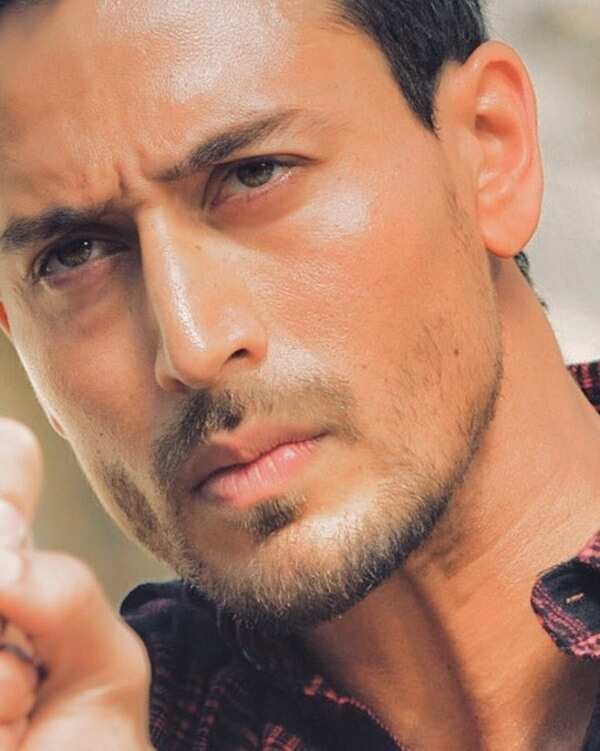 tigerjackieshroff_71517354_513841296068131_6387753599882928598_n