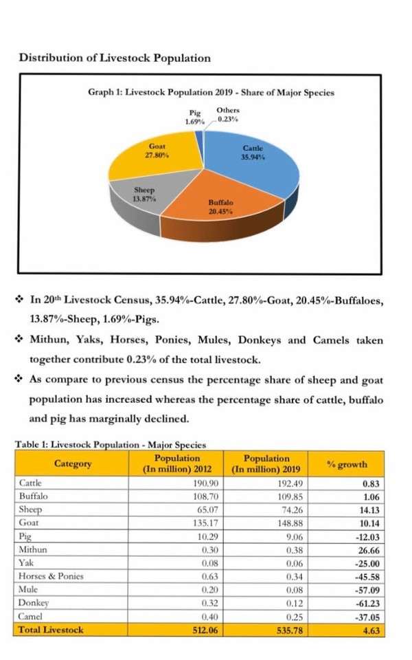 livestock-population-up-by-4-6-cow-count-rises-by-18-india-news