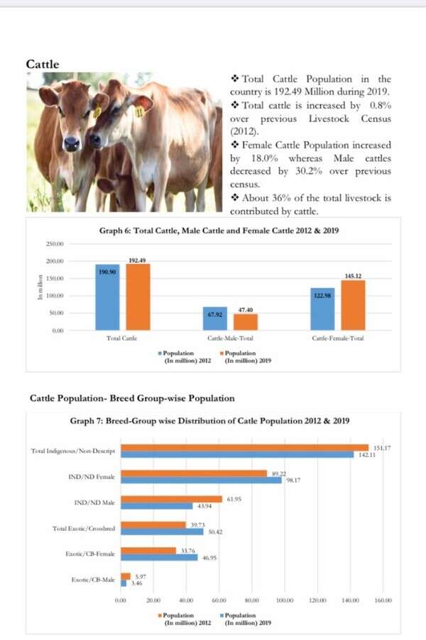 Livestock population up by 4.6; cow count rises by 18 India News