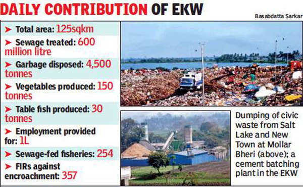 Satellite maps show massive loss of East Kolkata Wetlands | Kolkata ...