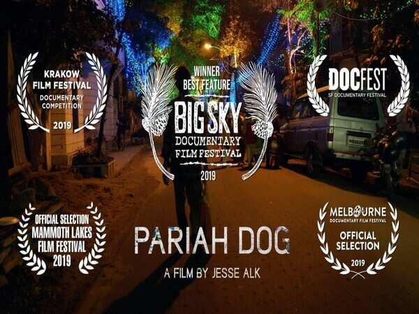‘Pariah Dog’